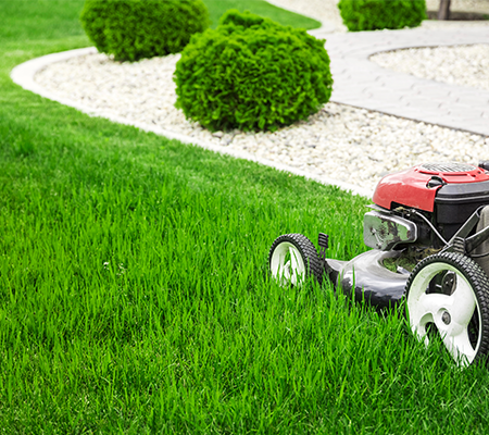 lawn mowing jp lonestar landscaping