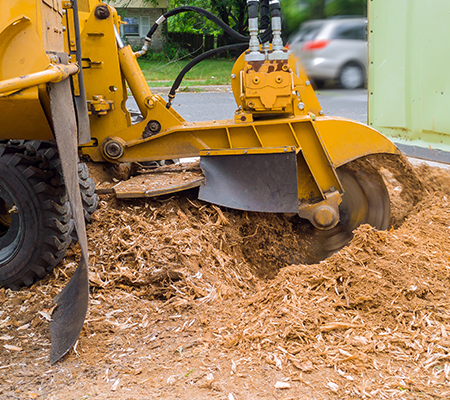 tree stump grinding